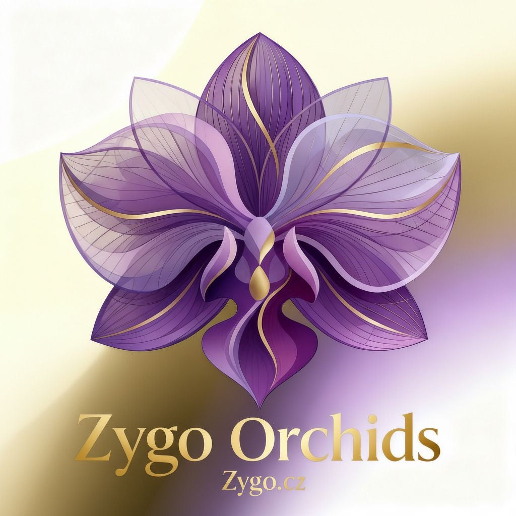Kvetoucí orchideje